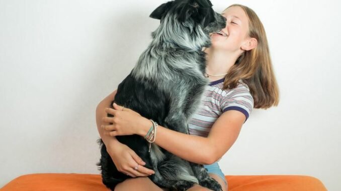 dog