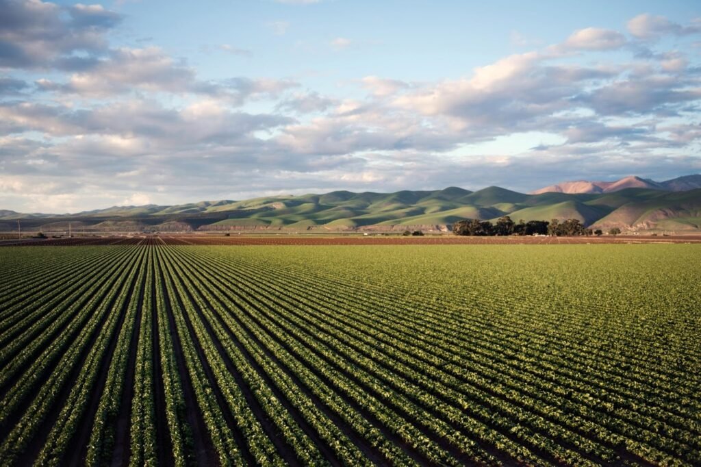 farm