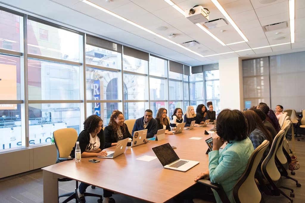 board of directors